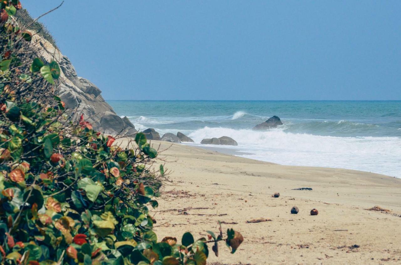 Playa Los Angeles Los Naranjos Eksteriør bilde